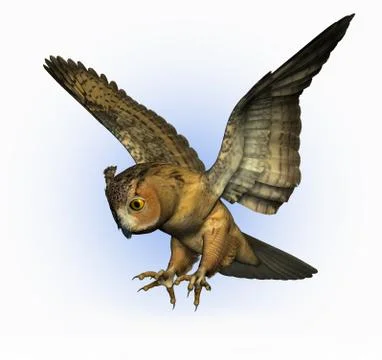 3D render of an Eagle Owl Swooping Down - side view. Stock Illustration