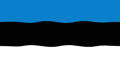 3d Render of Estonia Flag Waving, Motion Background with Seamless Loop Stock Footage 203999078