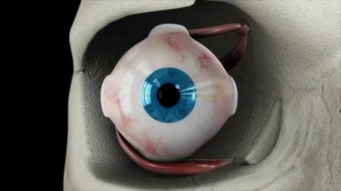 3d render eye pupil light dark by Polymime http://www.polymime.com Stock Footage 75407415