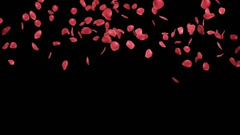 3d render of falling rose petals on isolated background for wedding or cele.. イラスト素材