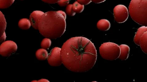 3d render Falling tomatoes with water drops Stock Illustration