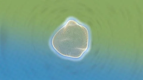 3d render of fertilized deformed ova through lab microscope. Illustrazione stock