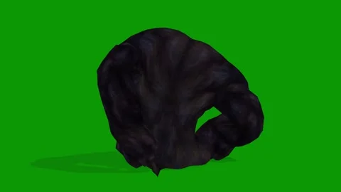 3D Render of Fierce Black Gorilla Resting Loop-Back Side Green Screen Stock Footage 309185783