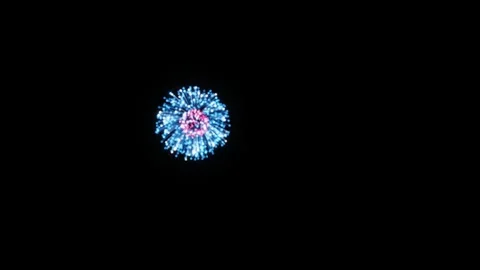 3d render firework A breathtaking sequence of colorful fireworks exploding in a Stock Footage 340141177