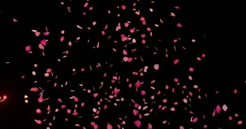 3d render fireworks from petals Stock Footage 220324892