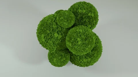 3D render of fluffy green balls rolling around each other and floating Vidéo 100283602