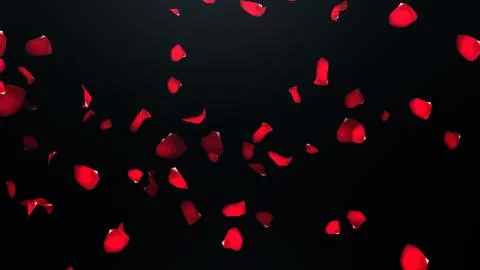 3D render Flying petals of roses with on an black background Stock Illustration