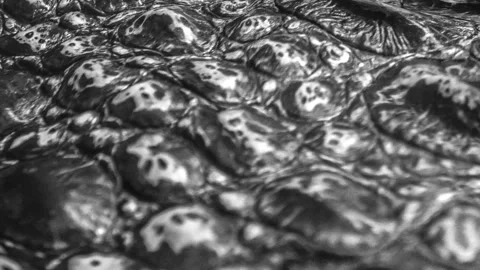 3d Render Stock Footage 166209115