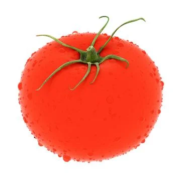 3d render fresh tomato Stock Illustration