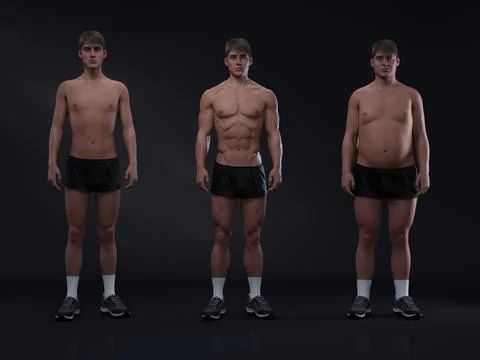 3D Render : Front view of standing male body type Illustrazione stock