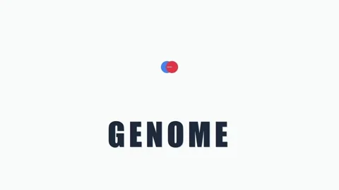 3D render of genome concept creating biotechnology science background Stock Footage 334940374