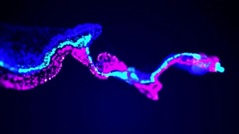 3d render, glitter particles float in liquid, shining and glowing like ink in Stock Footage 167183704
