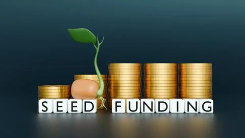 3D render: Gold coin stacks with "SEED FUNDING" blocks. Stock Illustration