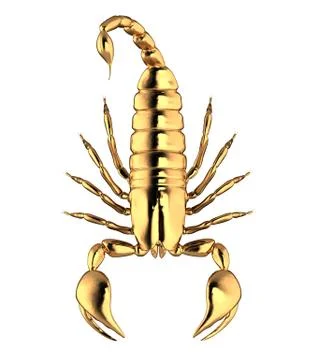 3d render of Gold Scorpion Stock Photos