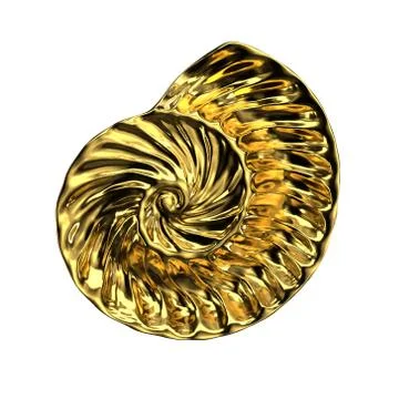 3d render Golden SeaShell isolated white background Stock Illustration