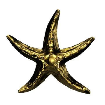 3d render Golden Seastar isolated white background Illustrazione stock