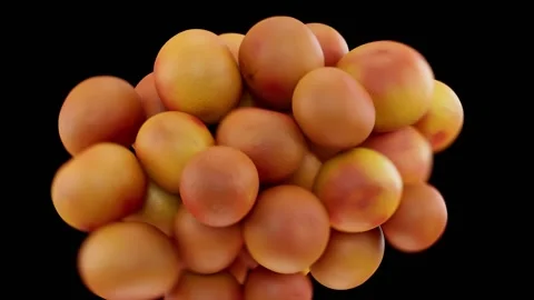 3D render of grapefruit blast, fruit background Stock Footage 234878746
