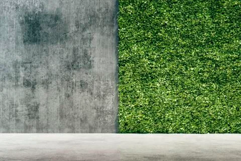 3d render of green fresh vertical garden and concrete wall Stock Illustration