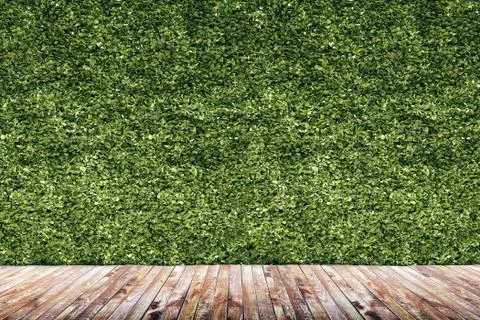 3d render of green vertical garden, wall background Illustrazione stock
