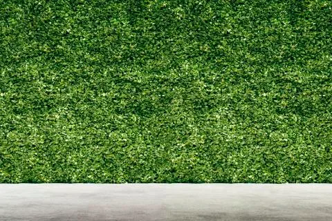 3d render of green vertical garden, wall background Stock Illustration