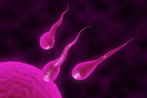 3D render of a group of sperm seeks the egg. Stock Illustration