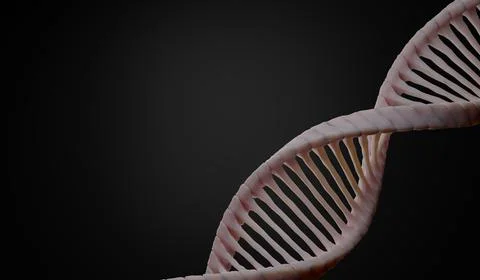 3d render Helix complementary strand of DNA of RNA. Sequences genetic code .. Stock Photos
