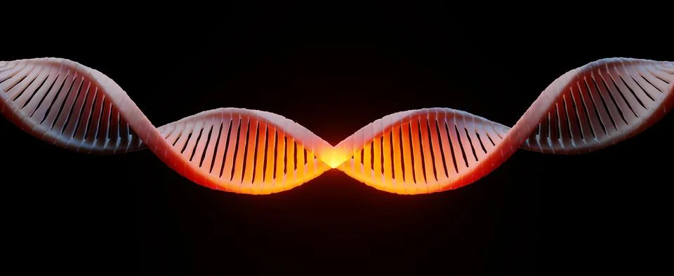 3d render Helix complementary strand of DNA of RNA. Sequences genetic code .. Stock Photos