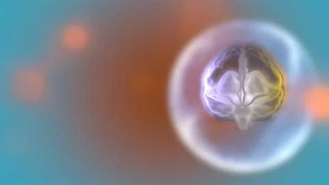 3d render high-functioning brain processing information inside a transparent Stock Illustration