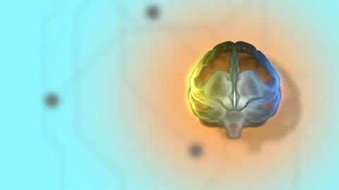 3d render of high-functioning brain processing information inside a transparent Stock Illustration