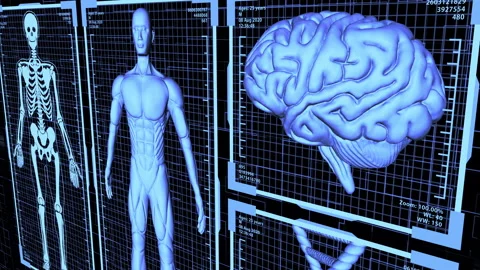 3D Render HUD anatomical Body, Brain and DNA including Skeleton (camera panning) Stock Footage 133417272
