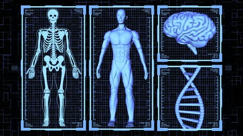 3D Render HUD Anatomical man Body, Brain and DNA including Skeleton background Stock Footage 133298256