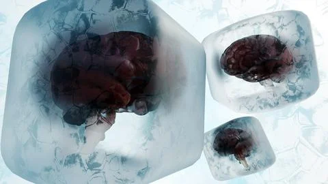 A 3D render of a human brain in an ice cube, representing Neurocryopreservation Illustrazione stock