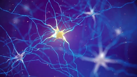 3d render of human brain nerve cells Stock Footage 145254906