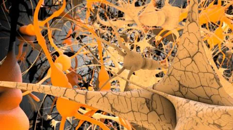 3D render of the Human brain Neurons Neural Network With Synapses  Stock Illustration