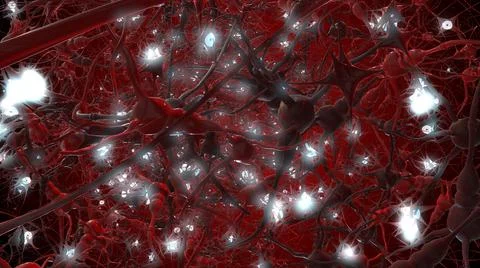 3D render of the Human brain Neurons Neural Network With Synapses  Stock Illustration