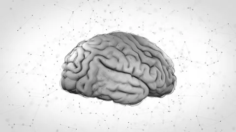 3D Motion Graphic of a Human Brain Stock Video Footage by