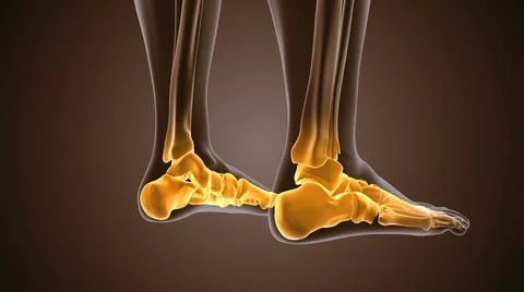 3d render of human figure ankle pain Stock Illustration