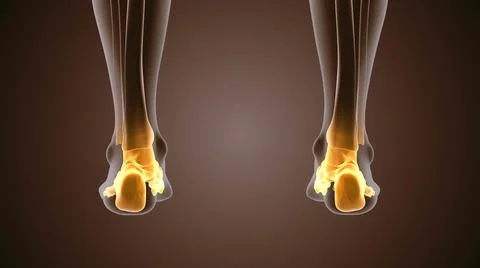 3d render of human figure ankle pain Stock Illustration