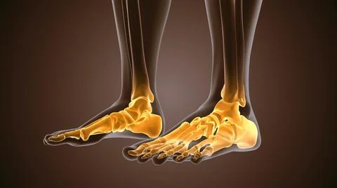 3d render of human figure ankle pain Stock Illustration