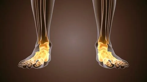 3d render of human figure ankle pain Stock Illustration