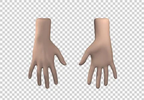 3D render of human hands showing front and back views Stock Illustration