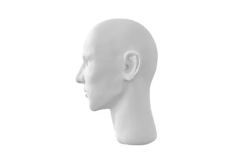3D render of human head Isolated on white background. Stock Illustration