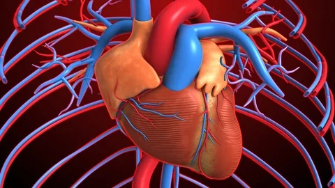3D render illustration fo heart beat Stock Footage 100359731