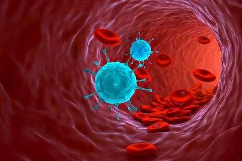 3d render illustration of human blood cells. Stock Illustration