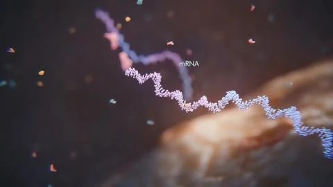 3d render illustration of Single strand ribonucleic acid. RNA research and th Illustrazione stock