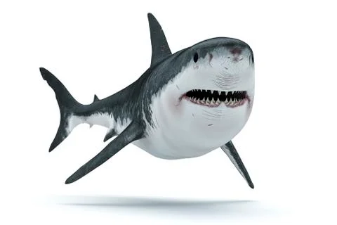 3d render image of big white shark Stock Illustration
