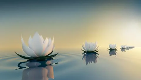 3d render image of le ots flower on calm ripple water Stock Illustration