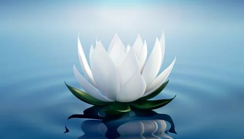 3d render image of le ots flower on calm ripple water Stock Illustration
