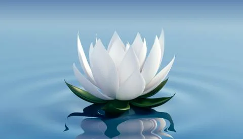 3d render image of le ots flower on calm ripple water Illustration