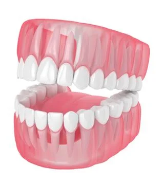 3d render of jaw with teeth over white Illustrazione stock
